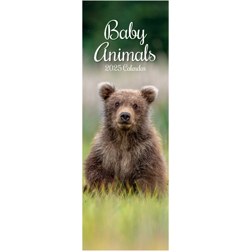 2025 Calendar Baby Animals Slim Wall Gifted Stationery GSC25284