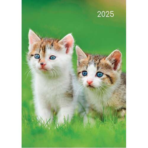 2025 Diary Cats & Kittens A5 Week to View Padded Gifted Stationery GSC25304