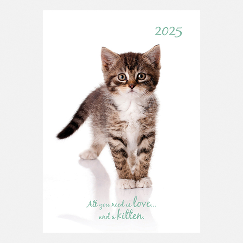 2025 Diary Cute Kittens A5 Week to View Padded Gifted Stationery GSC25307