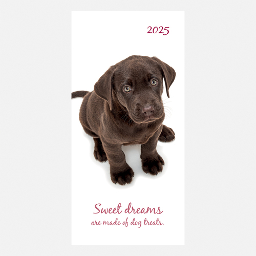 2025 Diary Adorable Dogs Pocket Week to View Gifted Stationery GSC25350