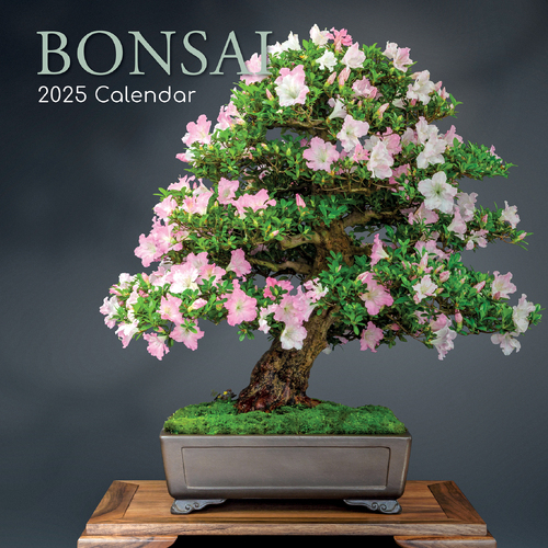 2025 Calendar Bonsai 16-Month Square Wall Gifted Stationery GSC24940