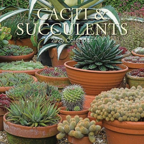 2025 Calendar Cacti & Succulents 16-Month Square Wall Gifted Stationery GSC24955