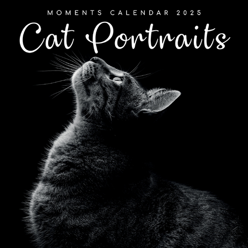 2025 Calendar Moments Cat Portraits 16-Month Square Wall Gifted Stationery GSC24961