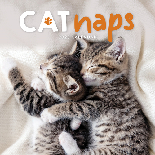 2025 Calendar Cat Naps Square Wall Paper Pocket CAB53