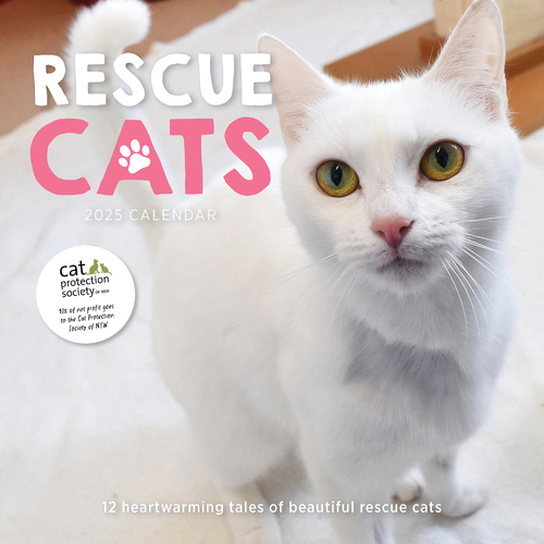 2025 Calendar Rescue Cats Square Wall Paper Pocket CAB49