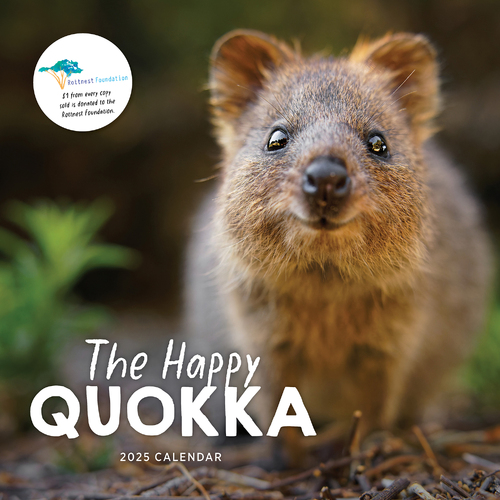 2025 Calendar The Happy Quokka Square Wall Paper Pocket CAB46