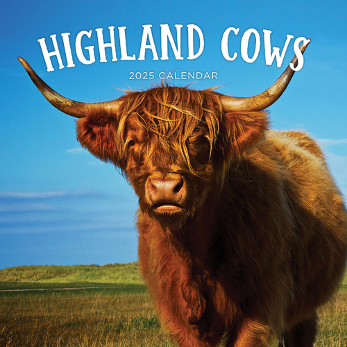 2025 Calendar Highland Cows Square Wall Paper Pocket CAB21