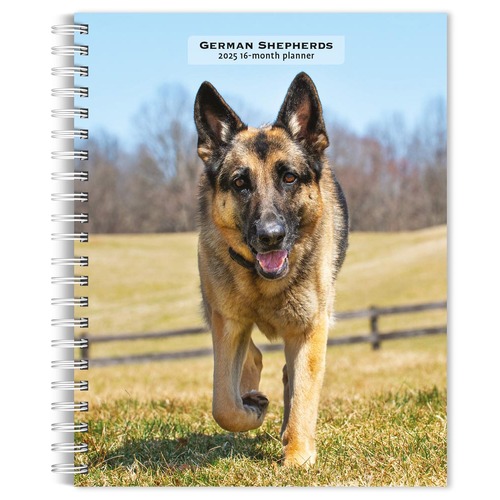 2025 16-Month Planner German Shepherds Weekly Engagement Browntrout BT73143