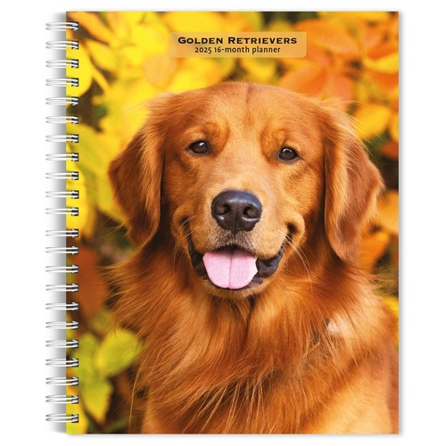 2025 16-Month Planner Golden Retrievers Weekly Engagement Browntrout BT73150