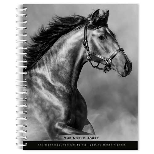 2025 16-Month Planner The BrownTrout Portrait Series The Noble Horse Weekly Engagement BT73228