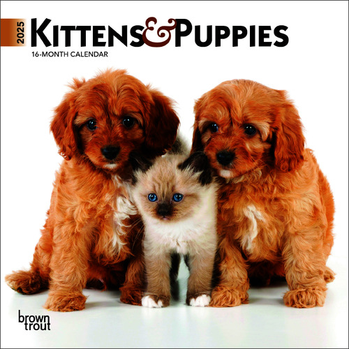 2025 Calendar Kittens & Puppies 16-Month Mini Wall Browntrout BT73709