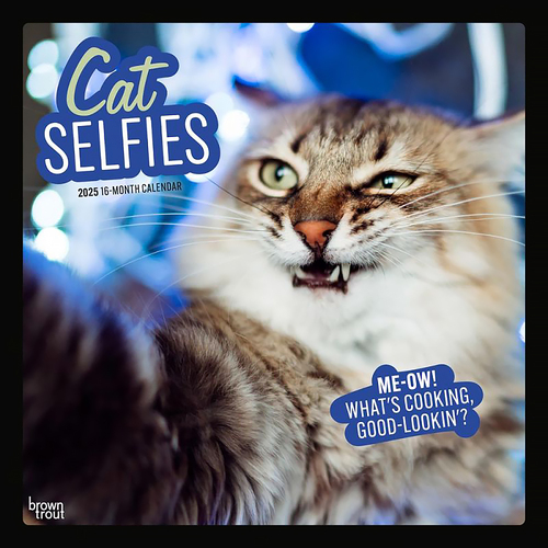 2025 Calendar Cat Selfies 16-Month Square Wall Browntrout BT74614