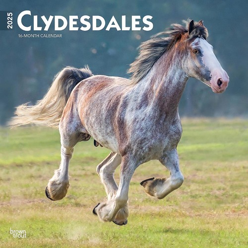 2025 Calendar Clydesdales 16-Month Square Wall Browntrout BT76854