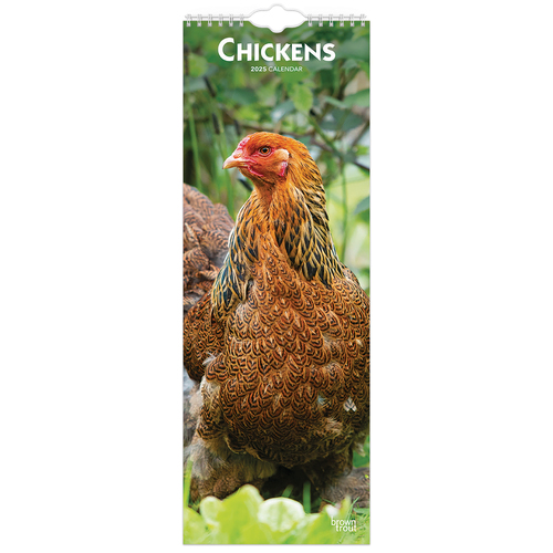 2025 Calendar Chickens Slim Wall Browntrout BT78483