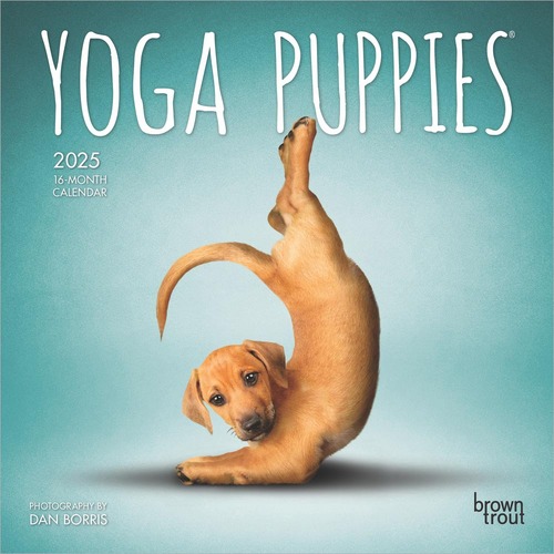 2025 Calendar Yoga Puppies 16-Month Mini Wall Browntrout BT79565