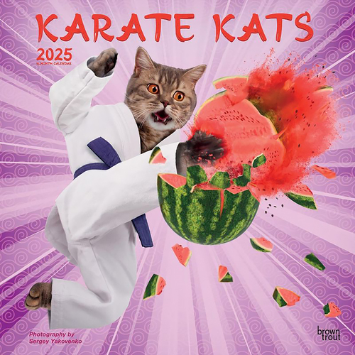 2025 Calendar Karate Kats 16-Month Square Wall Browntrout BT79831