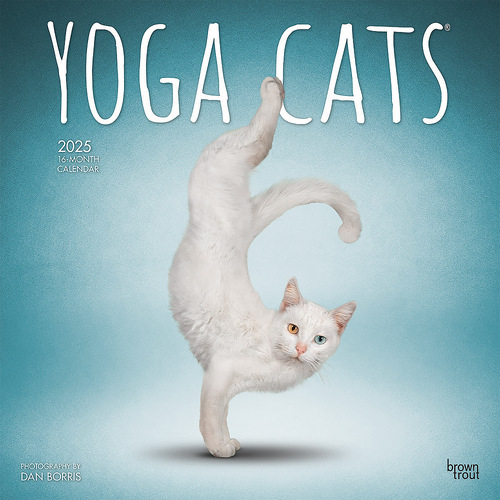 2025 Calendar Yoga Cats 16-Month Square Wall Browntrout BT79862